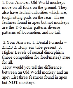 2.15 Lab Exercise